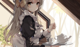 漫画女仆装,穿越时空的优雅与魅力